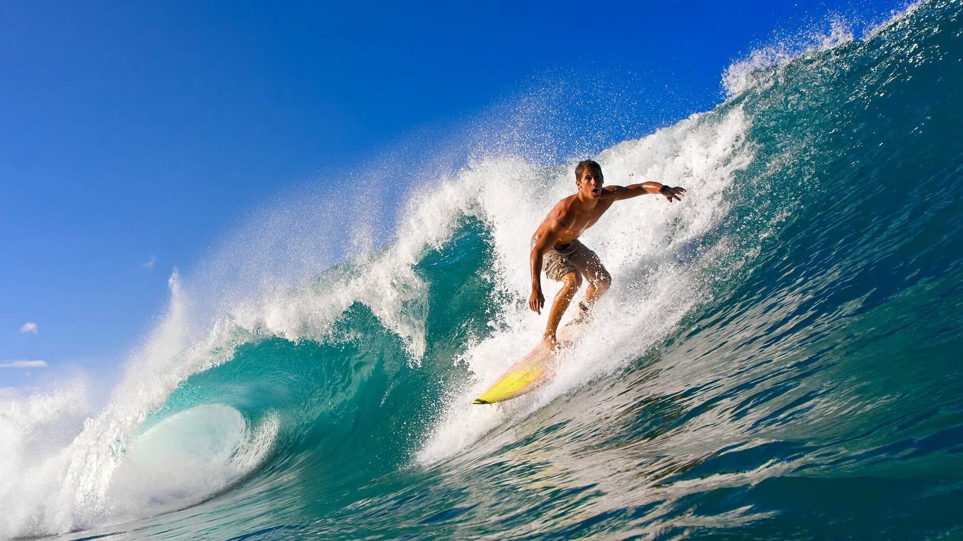 “擂台争锋，自由搏击赛事见证巅峰对决！”